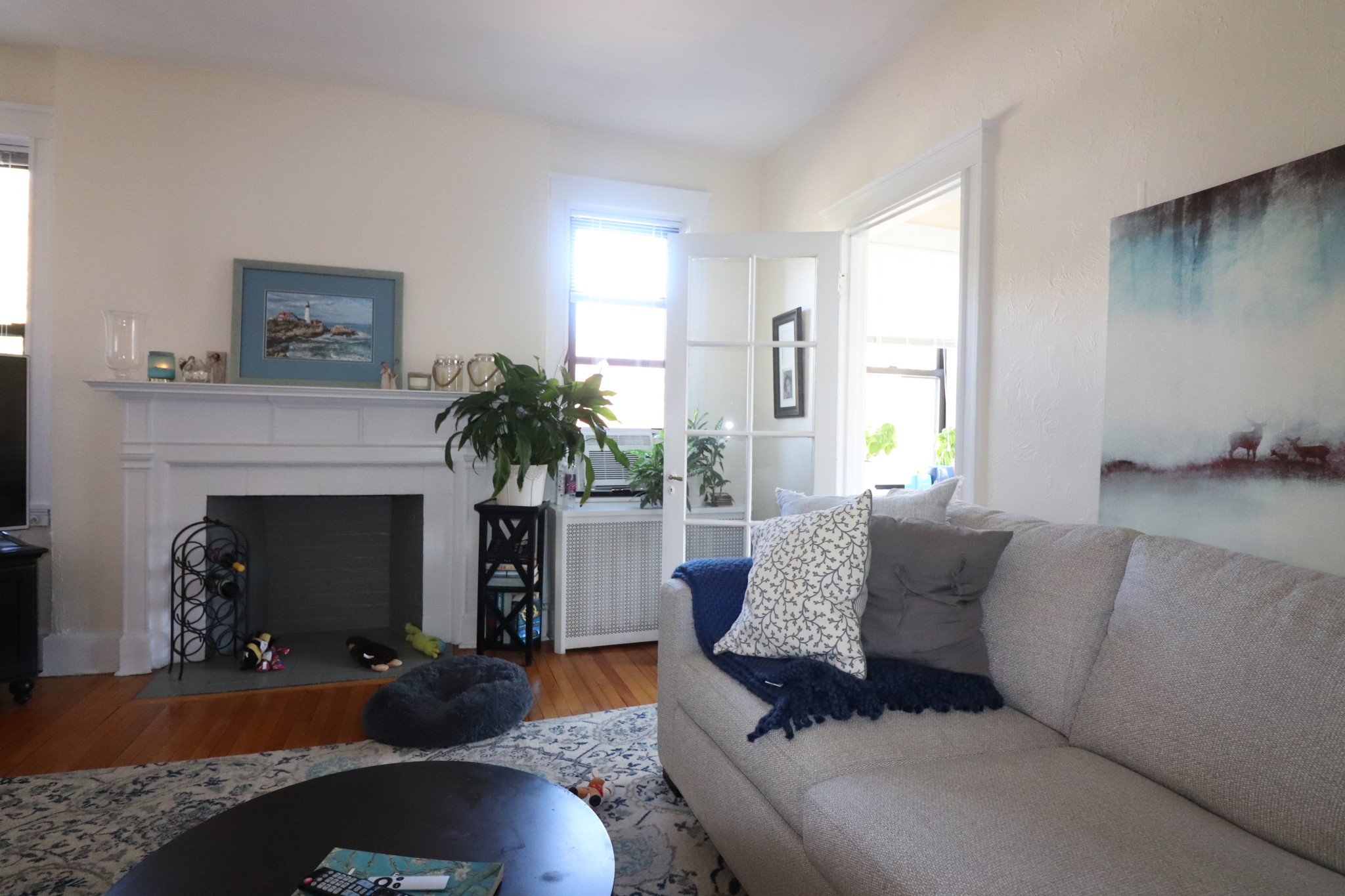 1 bed, 1 bath apartment for rent at 126 Babcock St Unit 28A, North Brookline — photo 1 of 22