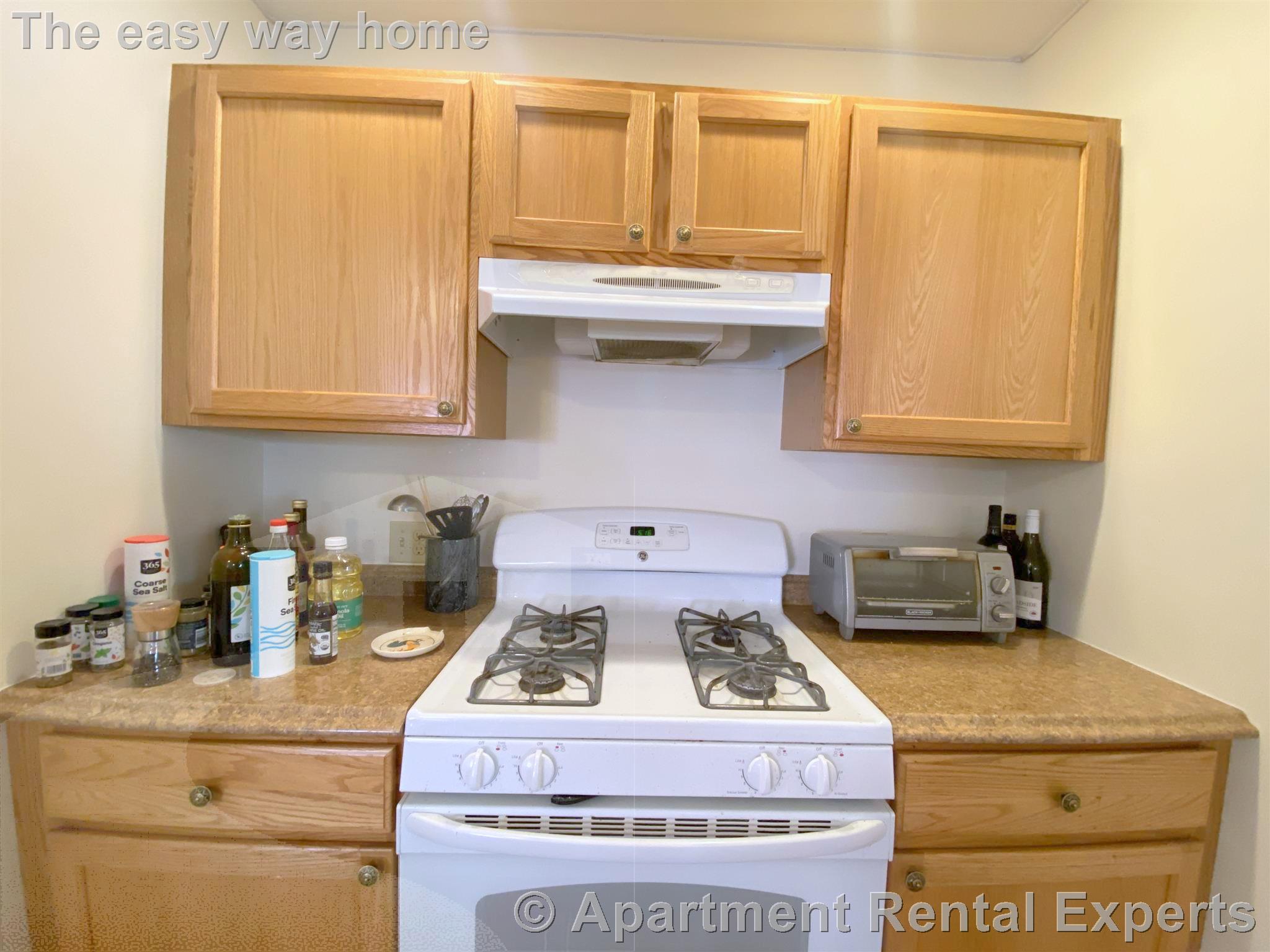 2 bed, 2 bath apartment for rent at 126 Pine St Unit 2, Central Square — photo 14 of 20