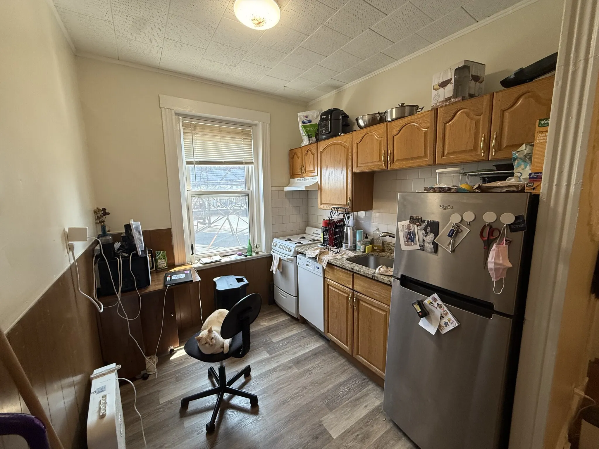 1 bed, 1 bath apartment for rent at 126 Warren St Unit 24, Brighton — photo 1 of 6