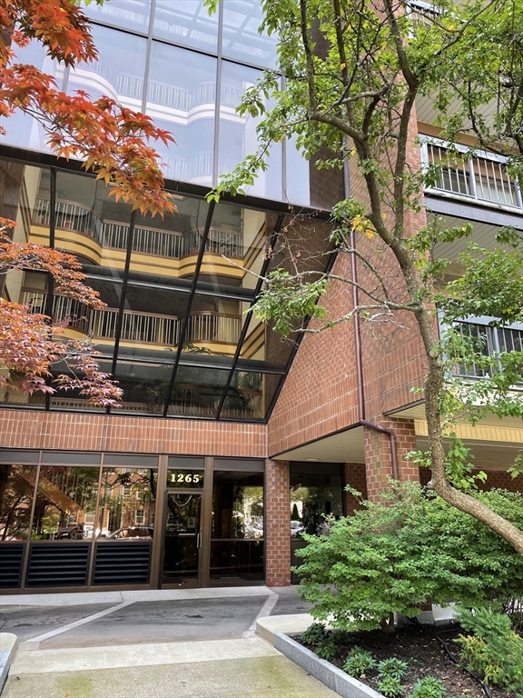 2 bed, 2 bath apartment for rent at 1265 Beacon St Unit 303, Coolidge Corner