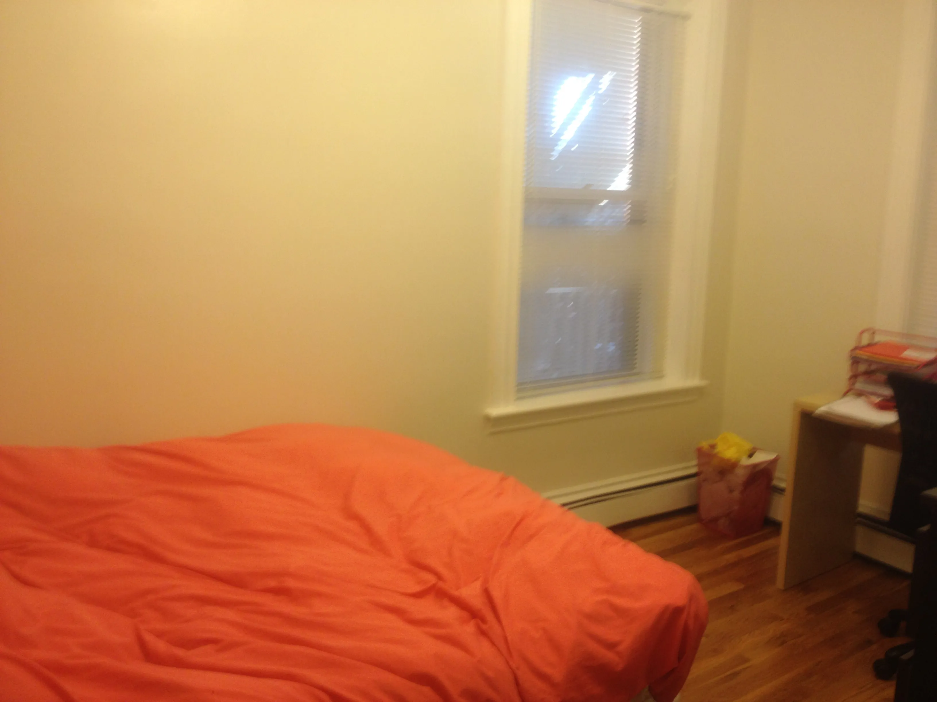 5 bed, 2 bath apartment for rent at 127 Cedar St Unit 3, Roxbury — photo 5 of 12