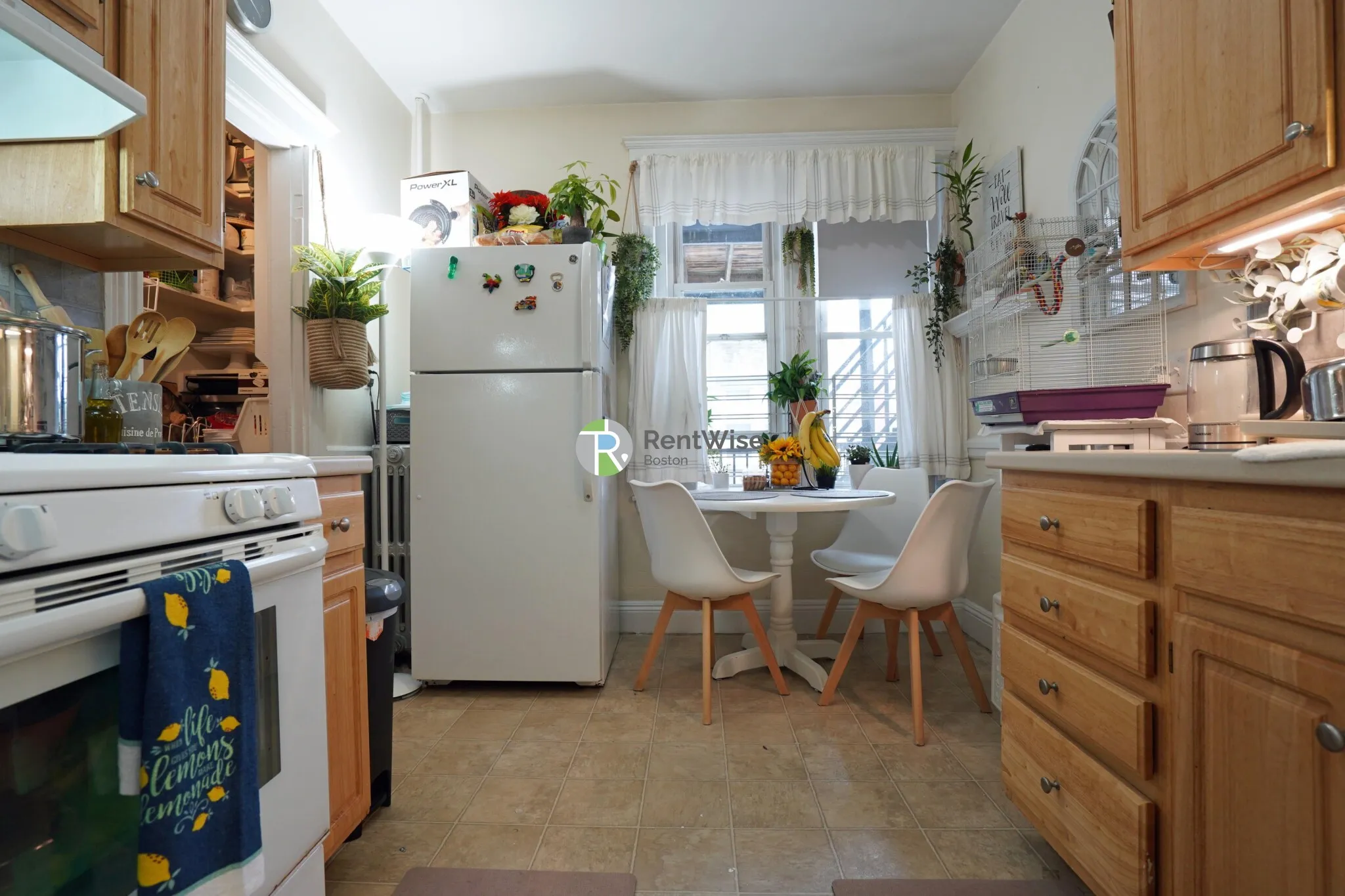 1 bed, 1 bath apartment for rent at 127 Washington St Unit 41, Brighton — photo 3 of 15