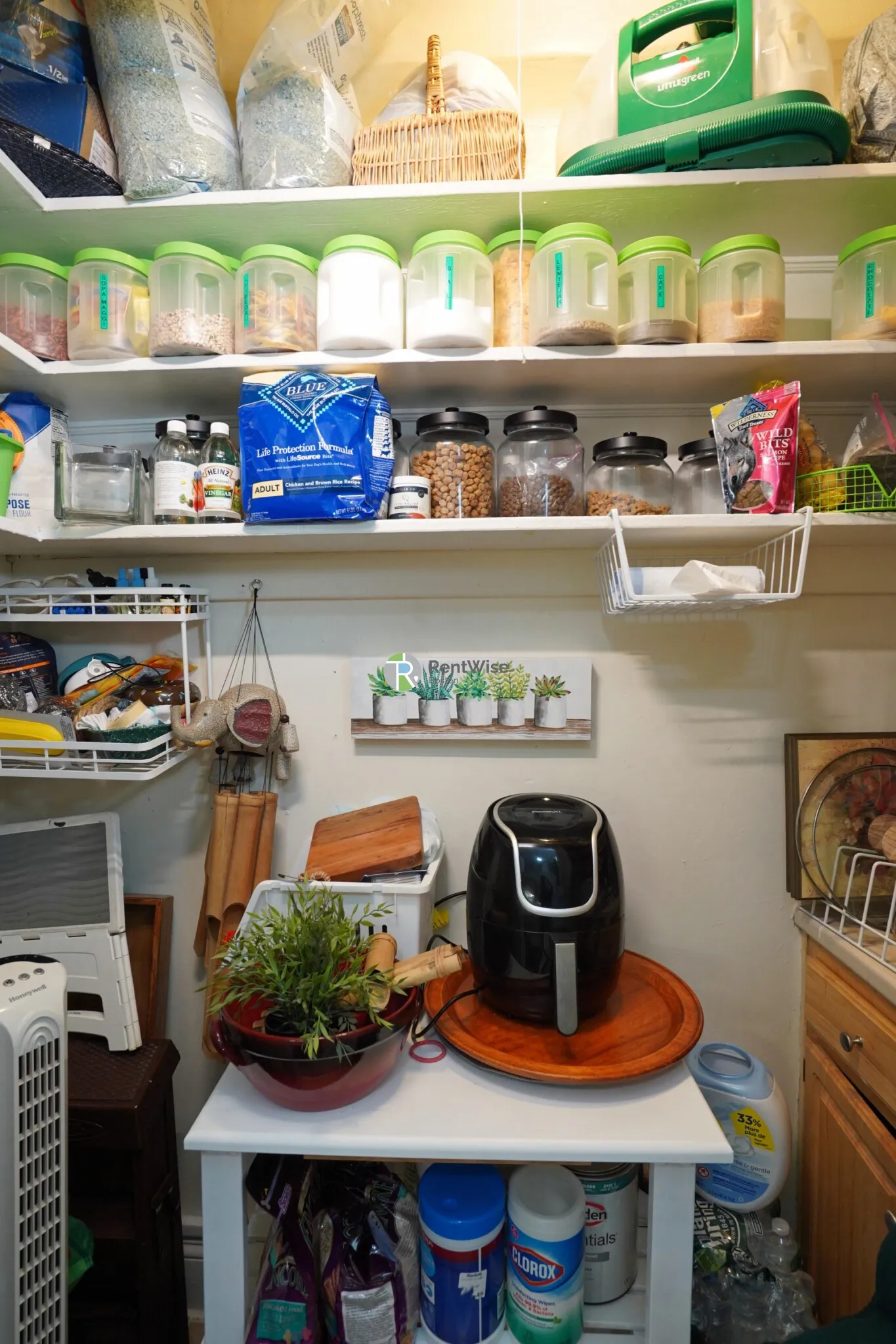 1 bed, 1 bath apartment for rent at 127 Washington St Unit 41, Brighton — photo 5 of 15