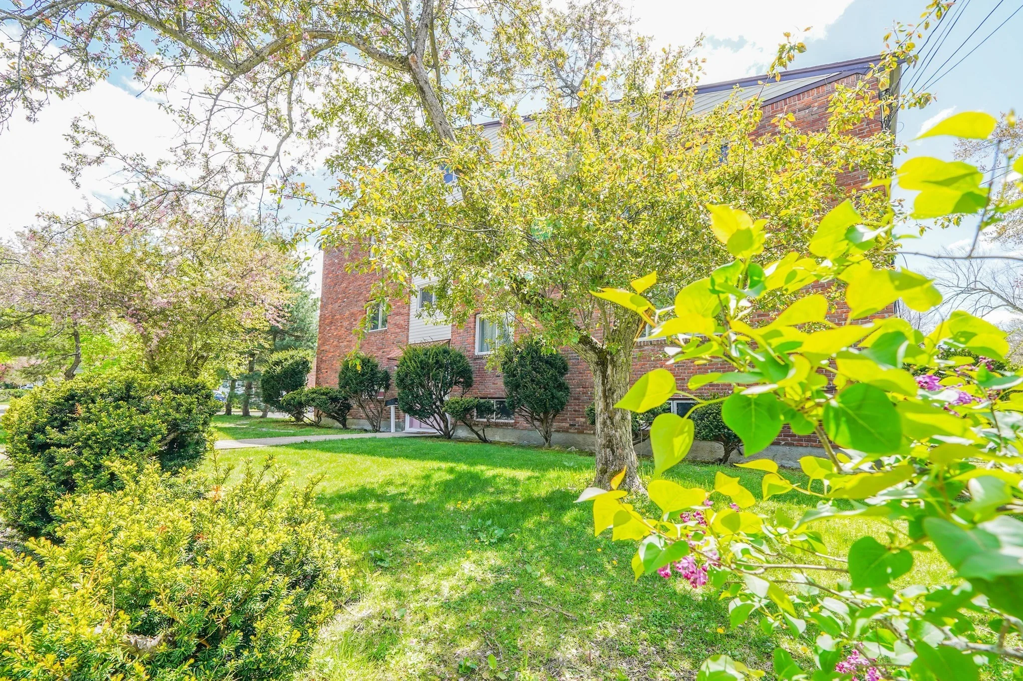 4 bed, 2 bath apartment for rent at 1274 Beacon Unit 2, Newton Highlands — photo 19 of 19