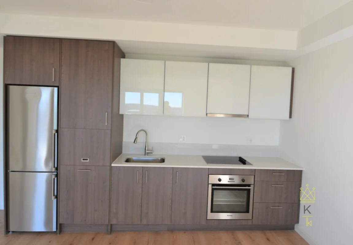 1 bed, 1 bath apartment for rent at 1282 Boylston St Unit 328, Fenway — photo 2 of 11