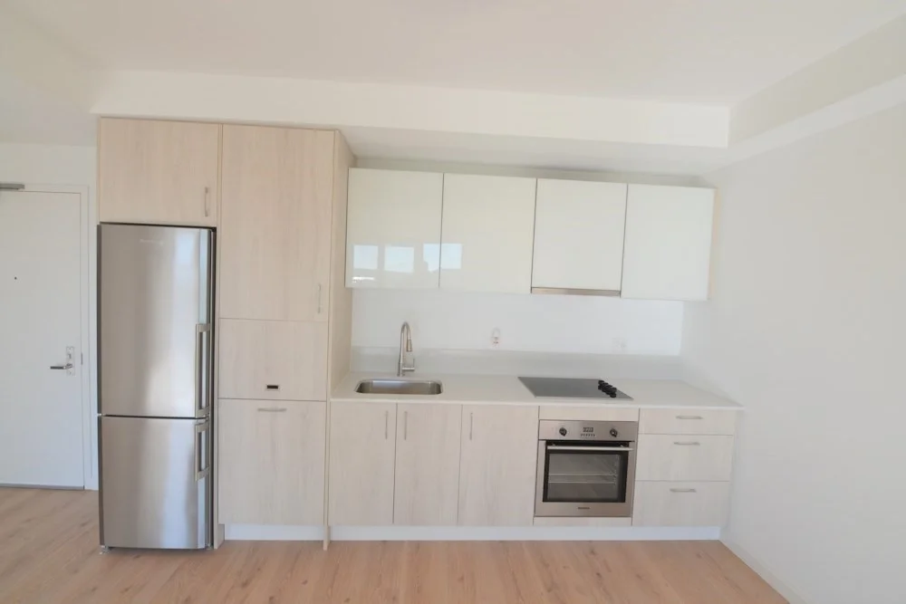 1 bed, 1 bath apartment for rent at 1282 Boylston St Unit 428, Fenway — photo 6 of 19