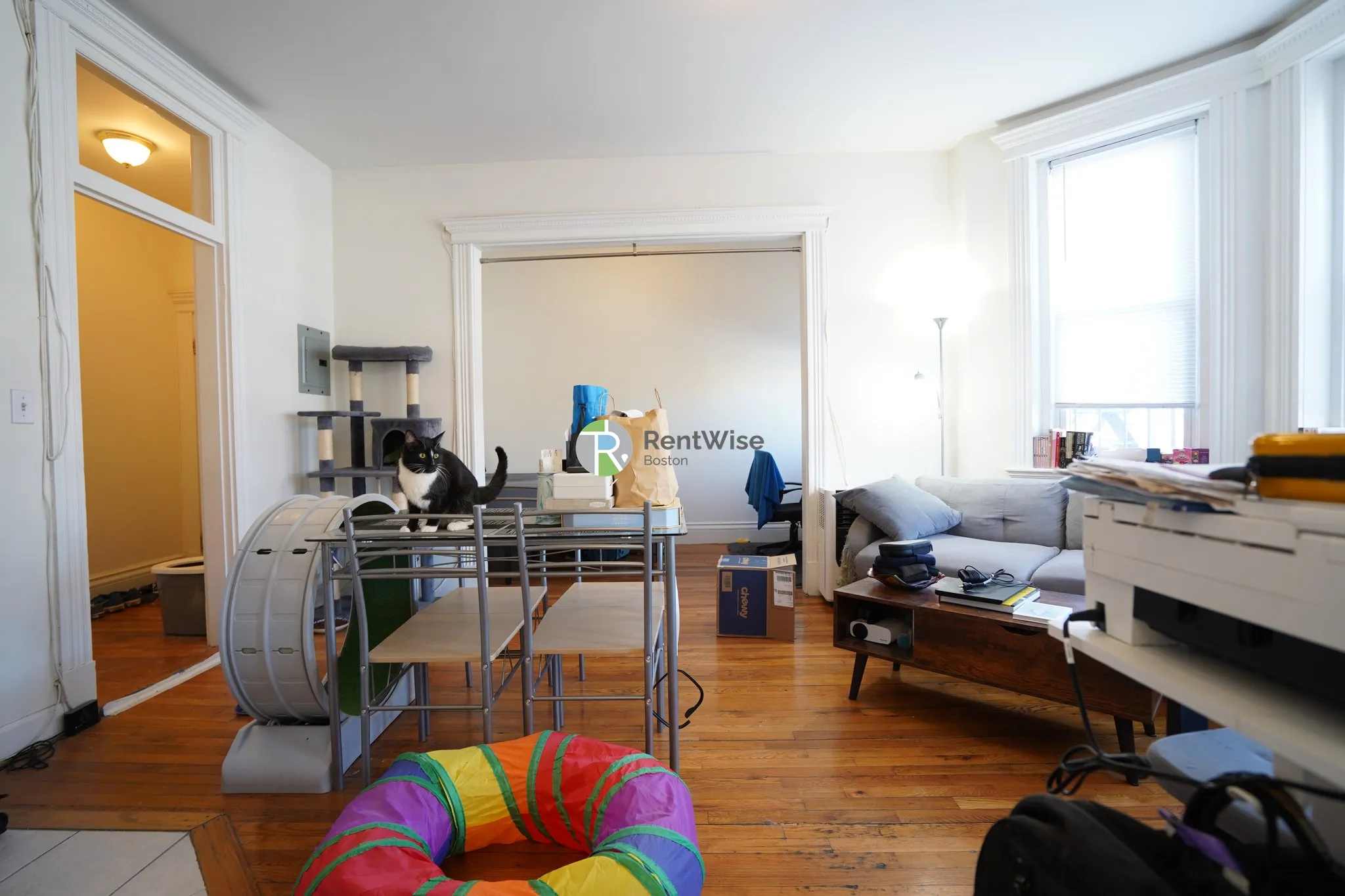 Studio bed, 1 bath apartment for rent at 1298 Commonwealth Ave Unit 17, Allston — photo 3 of 12