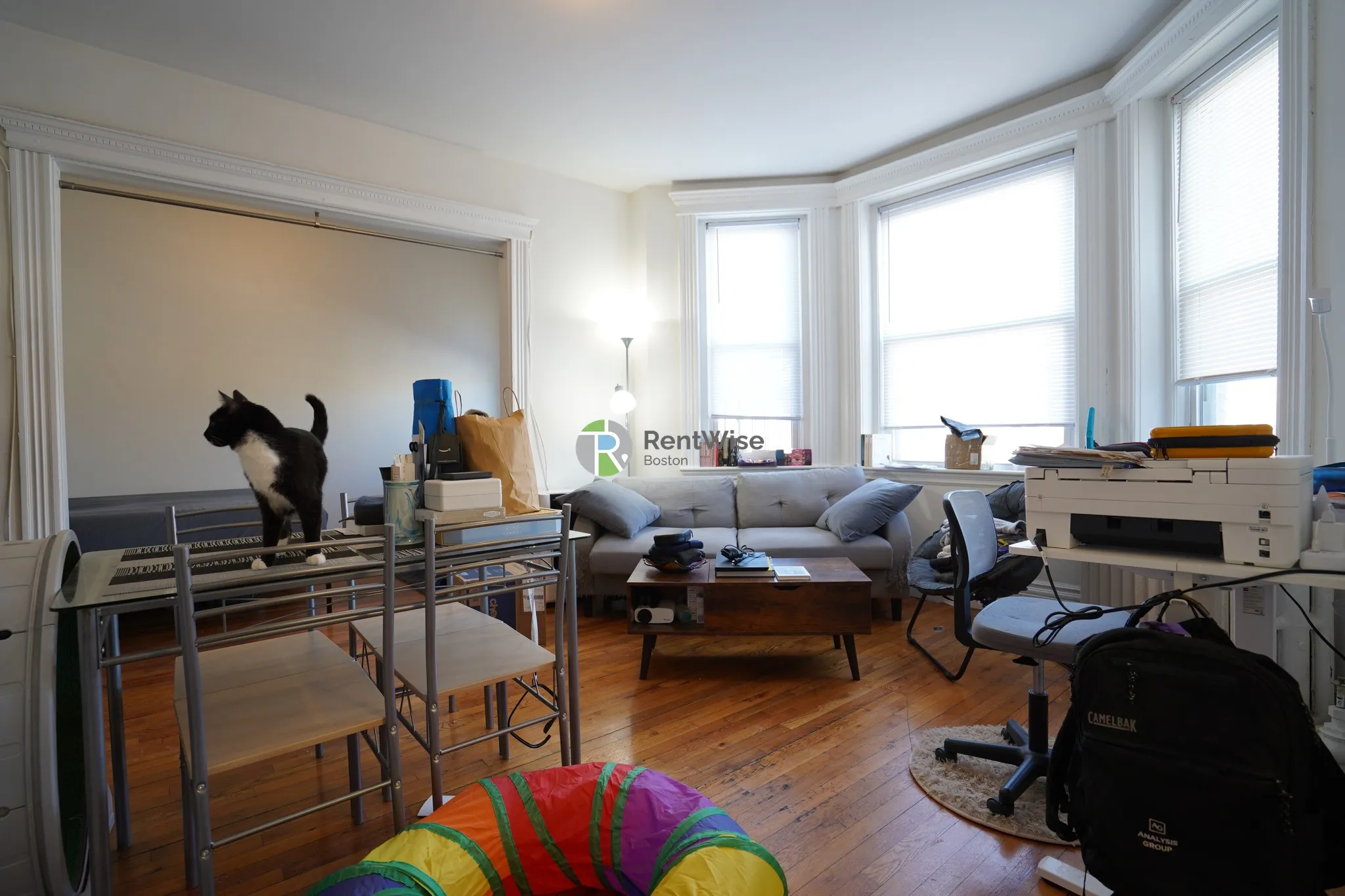Studio bed, 1 bath apartment for rent at 1298 Commonwealth Ave Unit 17, Allston — photo 2 of 12