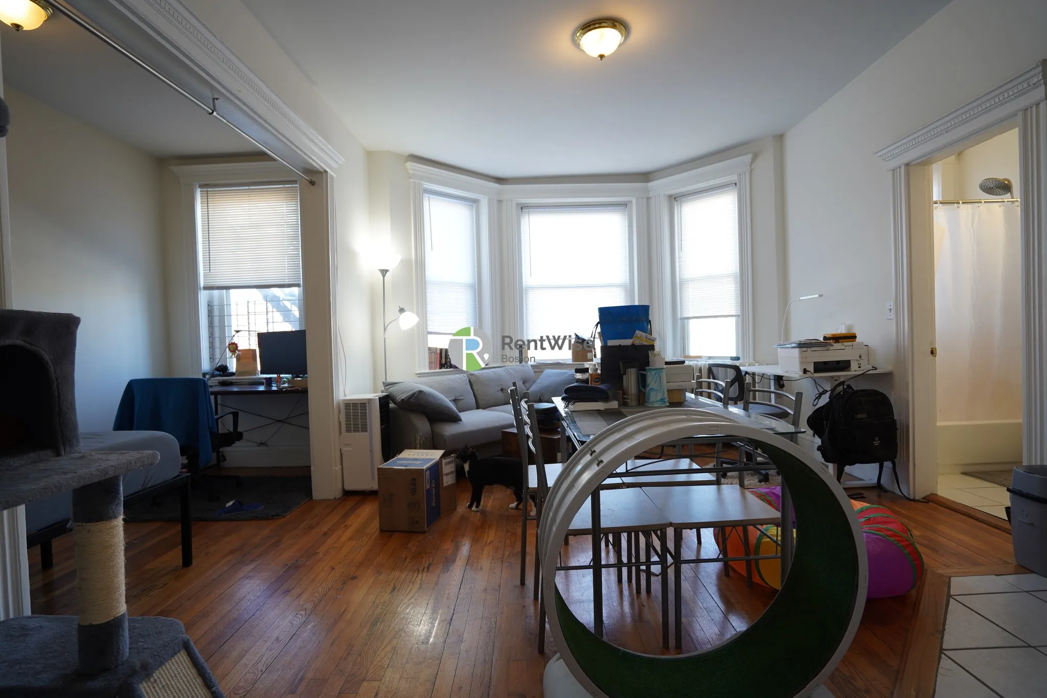 Studio bed, 1 bath apartment for rent at 1298 Commonwealth Ave Unit 17, Allston