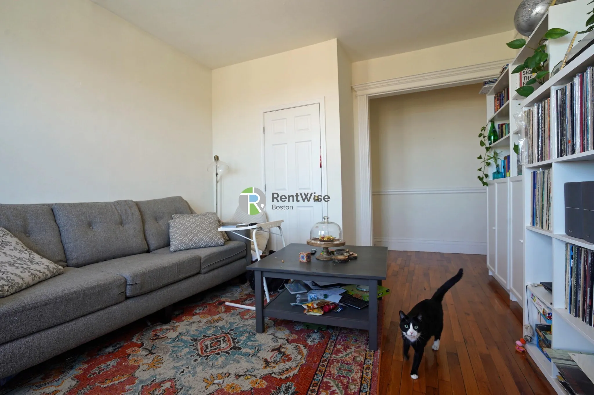 1 bed, 1 bath apartment for rent at 1298 Commonwealth Ave Unit 34, Allston — photo 2 of 16
