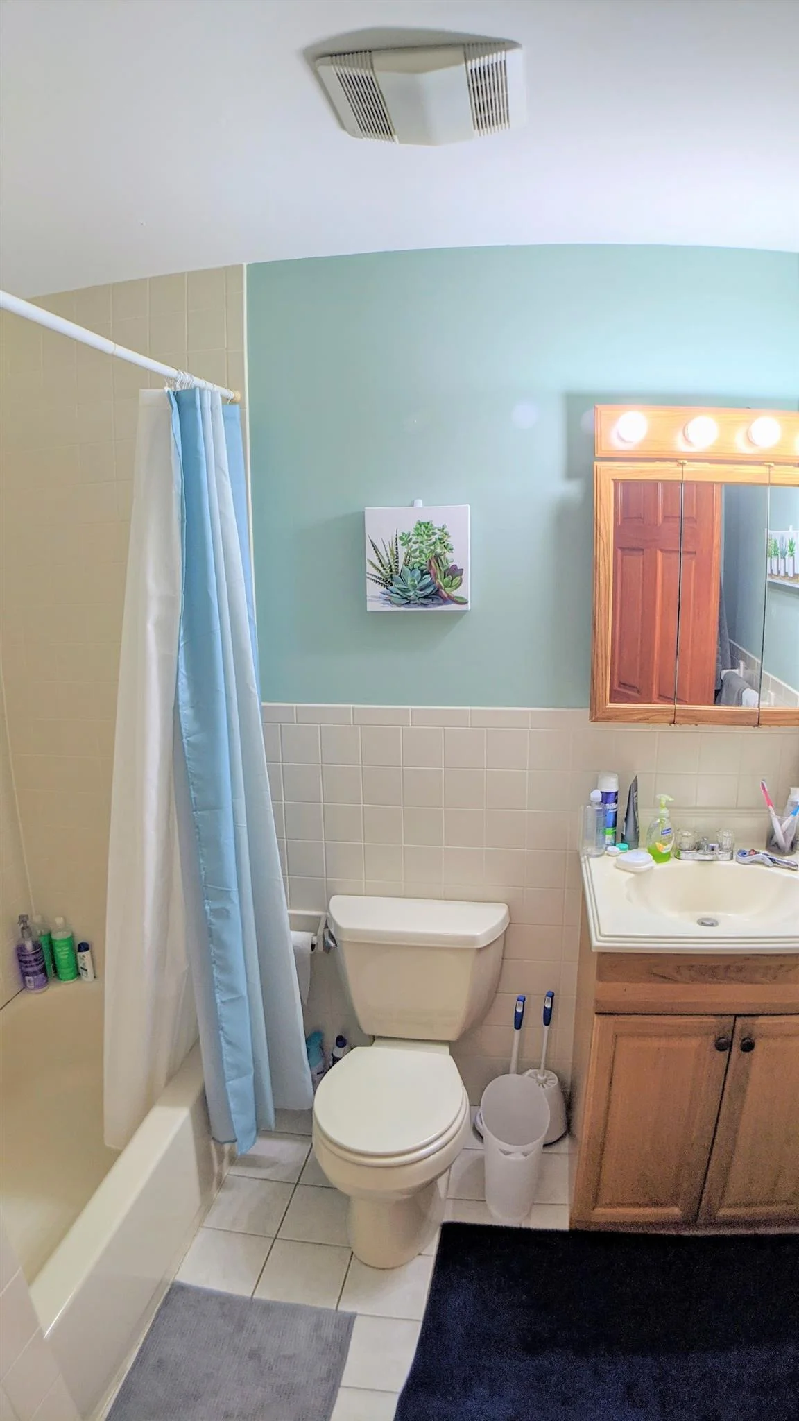 1 bed, 1 bath apartment for rent at 13 Bristol St Unit 1, Wellington-Harrington — photo 5 of 9