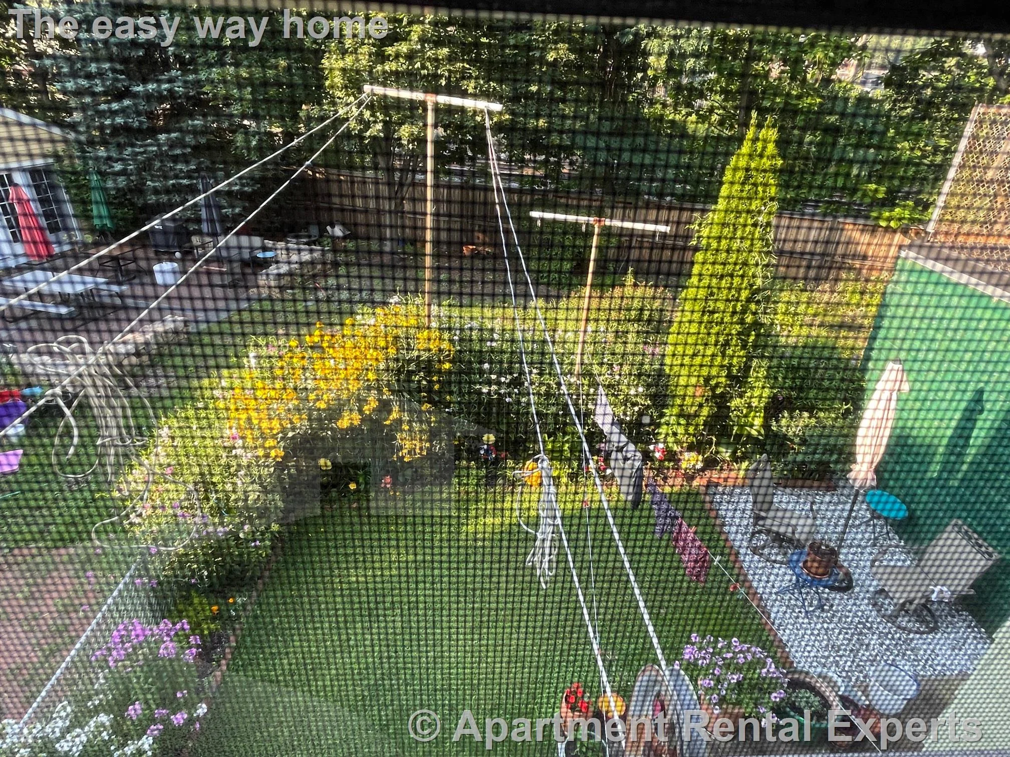 2 bed, 1 bath apartment for rent at 13 Harrison St Unit 2, Spring Hill — photo 23 of 24