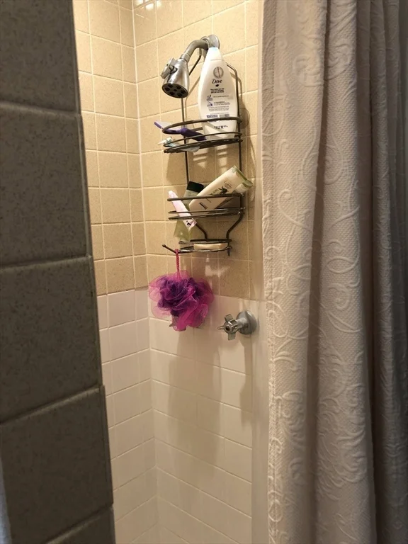 Studio bed, 1 bath apartment for rent at 13 Nonantum Unit 1R, Newton — photo 11 of 15