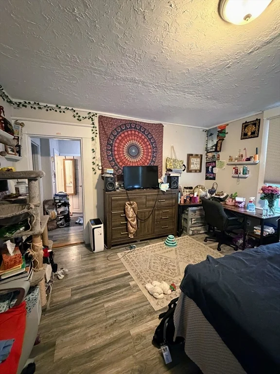 Studio bed, 1 bath apartment for rent at 13 Nonantum Unit 1R, Newton — photo 2 of 15