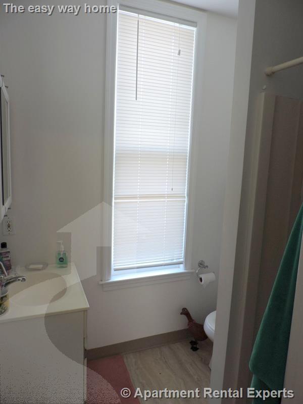 Studio bed, 1 bath apartment for rent at 13 Pleasant St Unit 1R, Central Square — photo 6 of 6