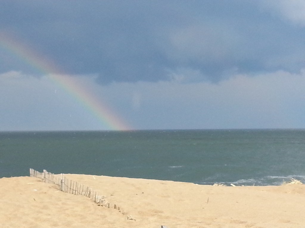 3 bed, 1 bath apartment for rent at 13 Plum Island Tpk Unit A, Plum Island — photo 28 of 30
