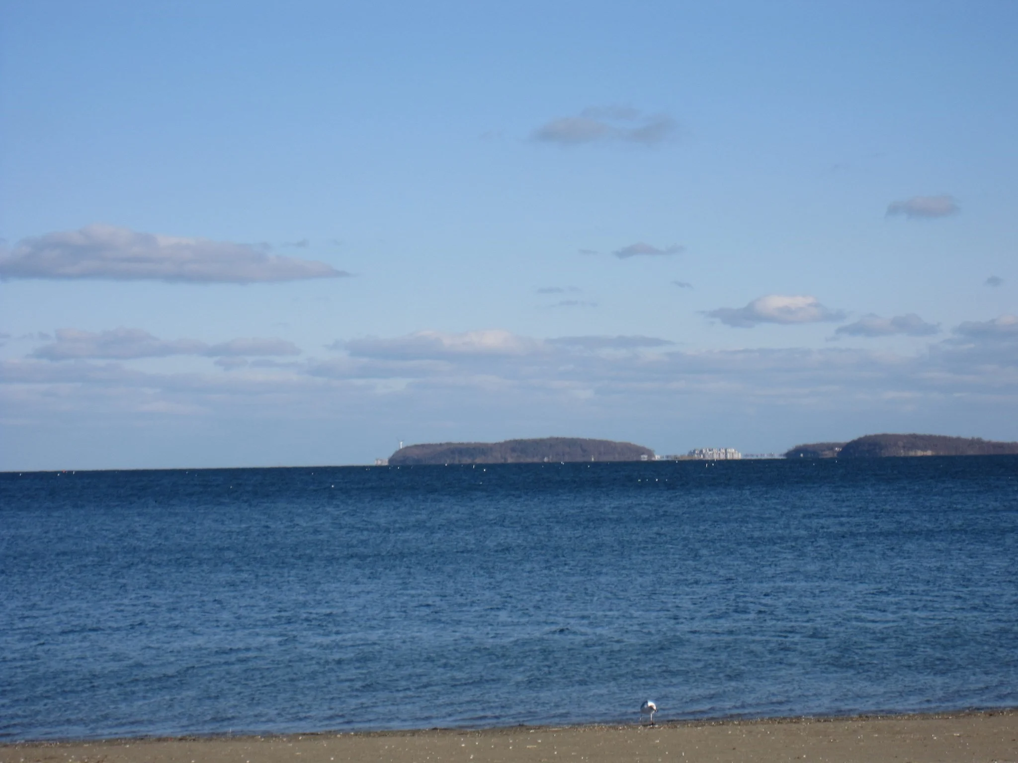 1 bed, 1 bath apartment for rent at 130 Beach St Unit 208, Quincy — photo 25 of 25