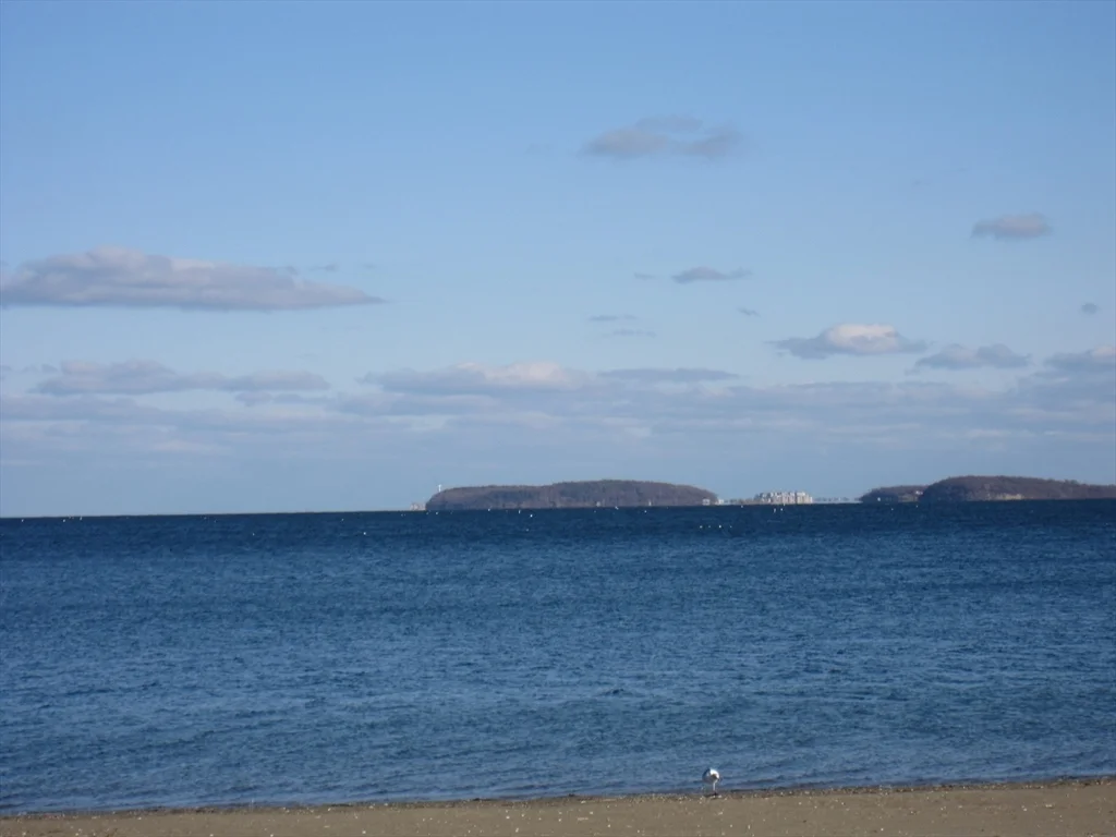2 bed, 2 bath apartment for rent at 130 Beach St Unit 212, Quincy — photo 19 of 22