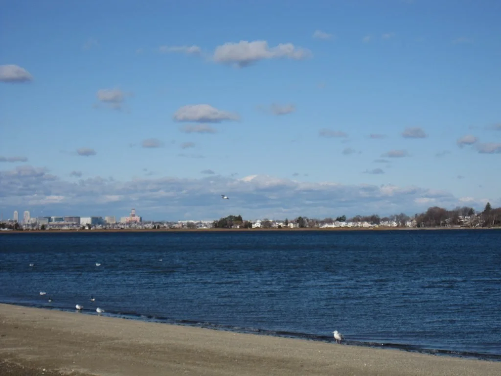 2 bed, 2 bath apartment for rent at 130 Beach St Unit G-3, Quincy — photo 25 of 29