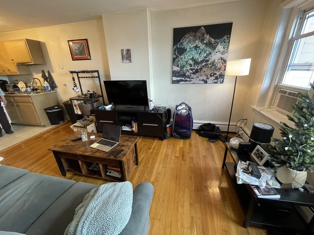 1 bed, 1 bath apartment for rent at 130 Emerson St Unit 32, South Boston — photo 2 of 6