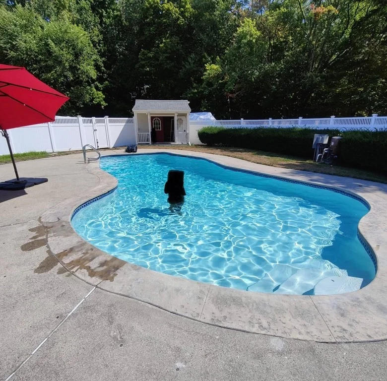 2 bed, 1 bath apartment for rent at 1305 Washington St Unit 1, Canton — photo 12 of 13
