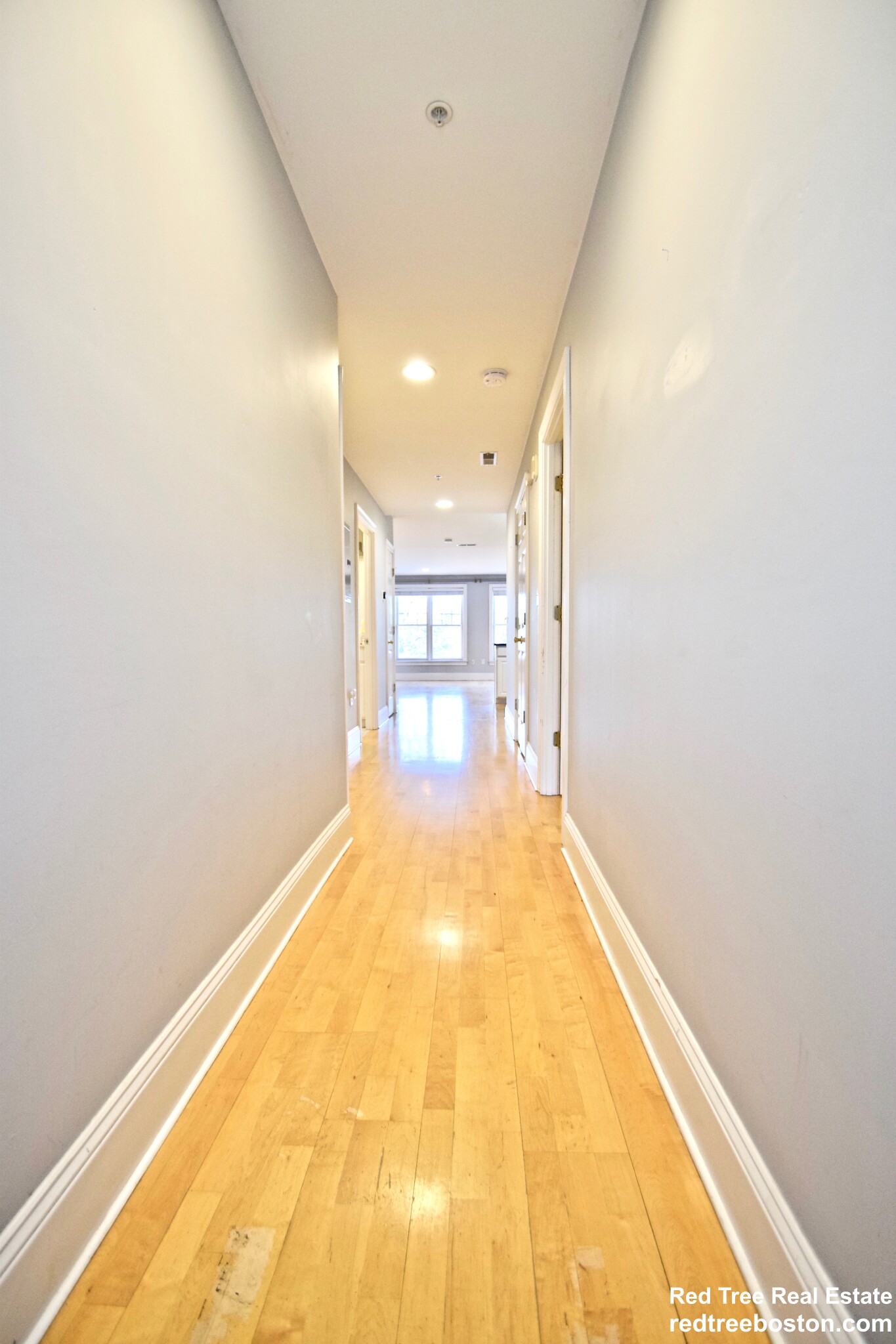 2 bed, 2 bath apartment for rent at 1306 Columbia Rd Unit 3B, South Boston — photo 10 of 19