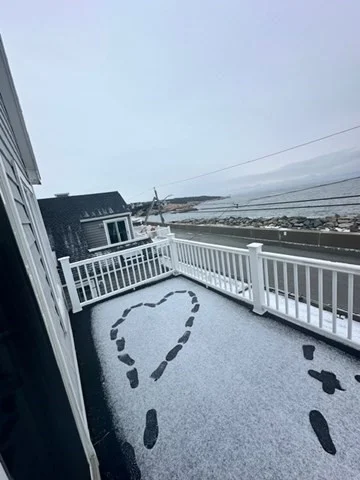 3 bed, 2 bath apartment for rent at 131 Glades, Scituate — photo 19 of 19