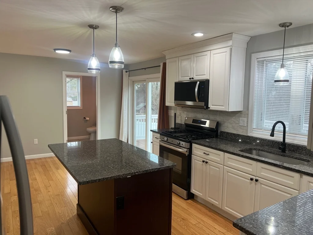 3 bed, 2 bath apartment for rent at 131 Merrill, Rosemont — photo 3 of 19