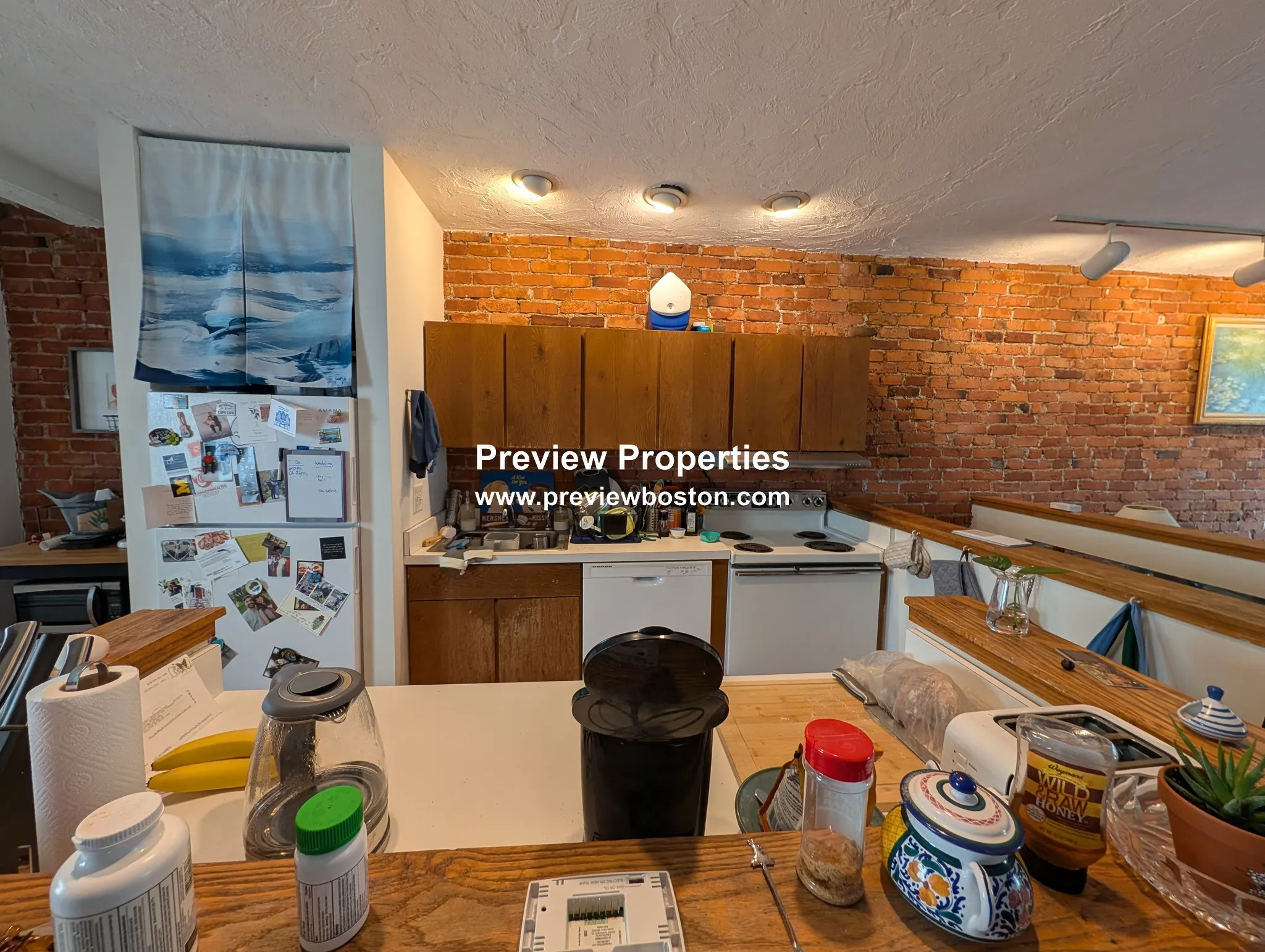 2 bed, 1.5 bath apartment for rent at 131 Sutherland Rd Unit 2, Brighton — photo 4 of 15