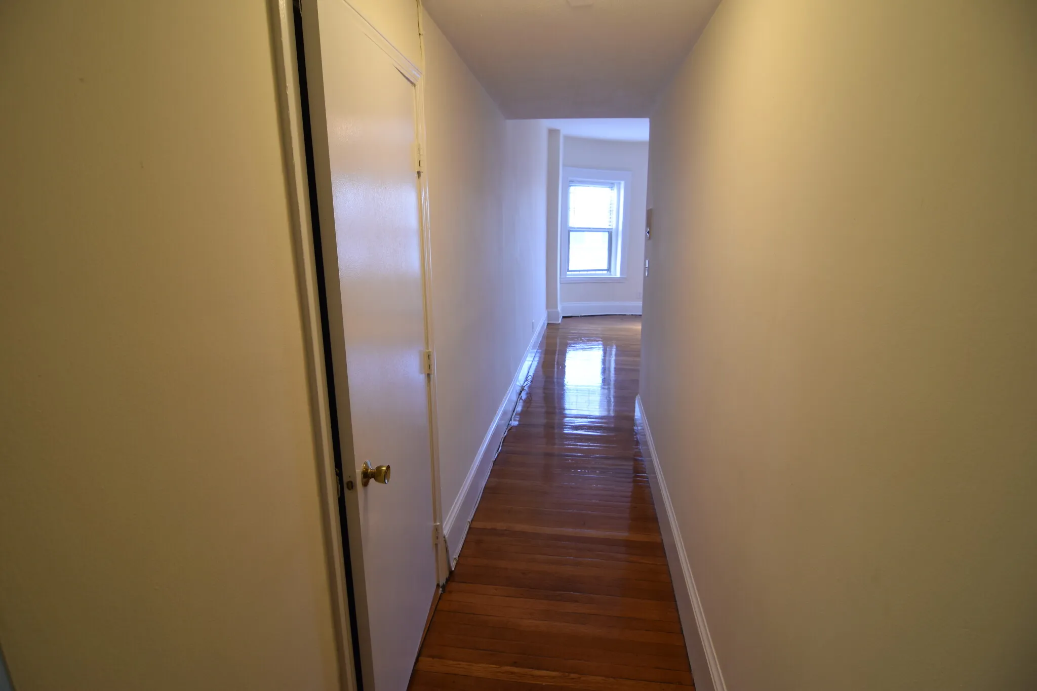 1 bed, 1 bath apartment for rent at 1315 Commonwealth Ave Unit 507, Allston — photo 1 of 6