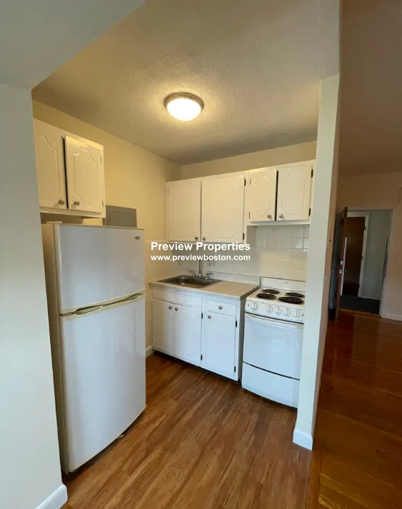 1 bed, 1 bath apartment for rent at 1315 Commonwealth Ave Unit 507P, Allston — photo 3 of 19