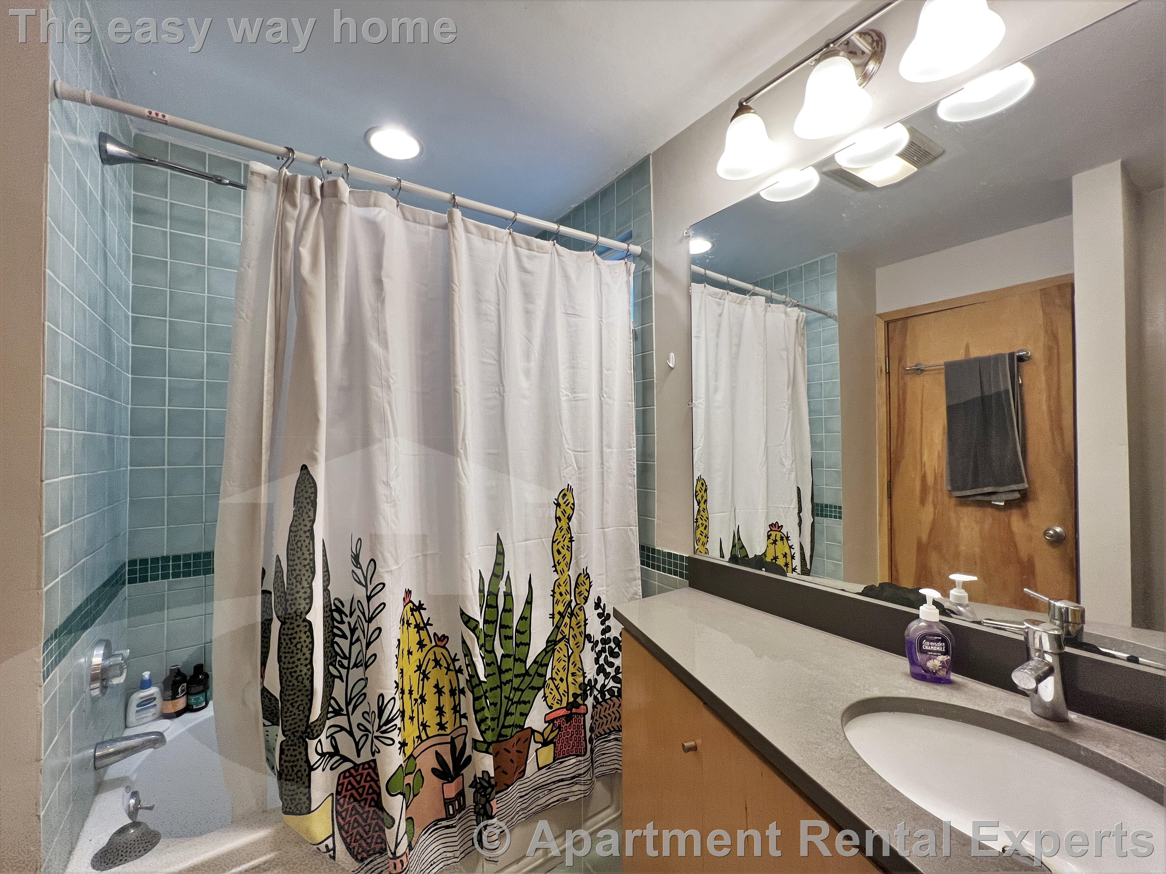2 bed, 1 bath apartment for rent at 132 Columbia St Unit 1, Central Square — photo 20 of 20