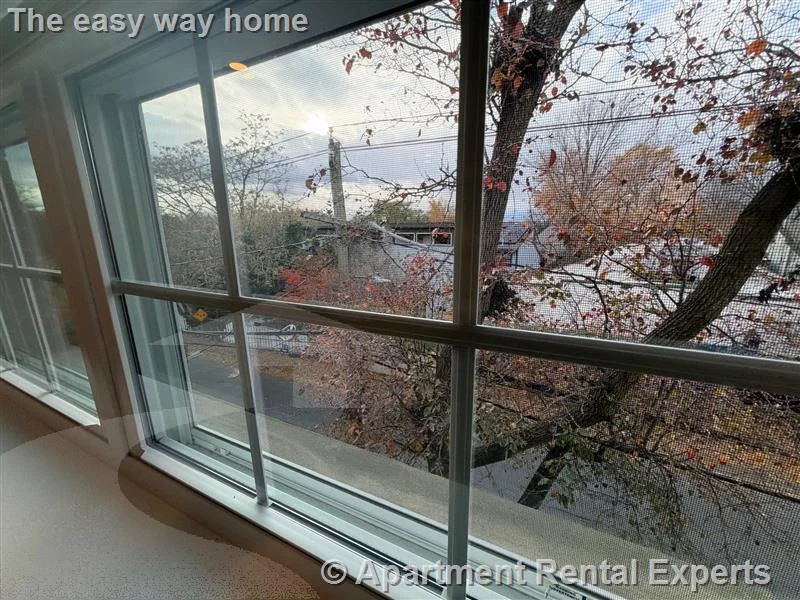 2 bed, 1 bath apartment for rent at 132 Sherman St Unit 6, Alewife — photo 8 of 9