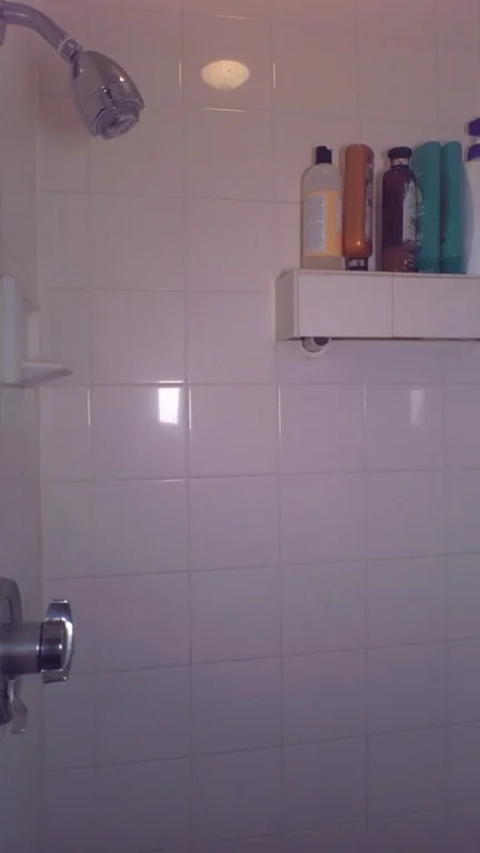 1 bed, 1 bath apartment for rent at 132 West Concord Unit 4, South End — photo 11 of 16