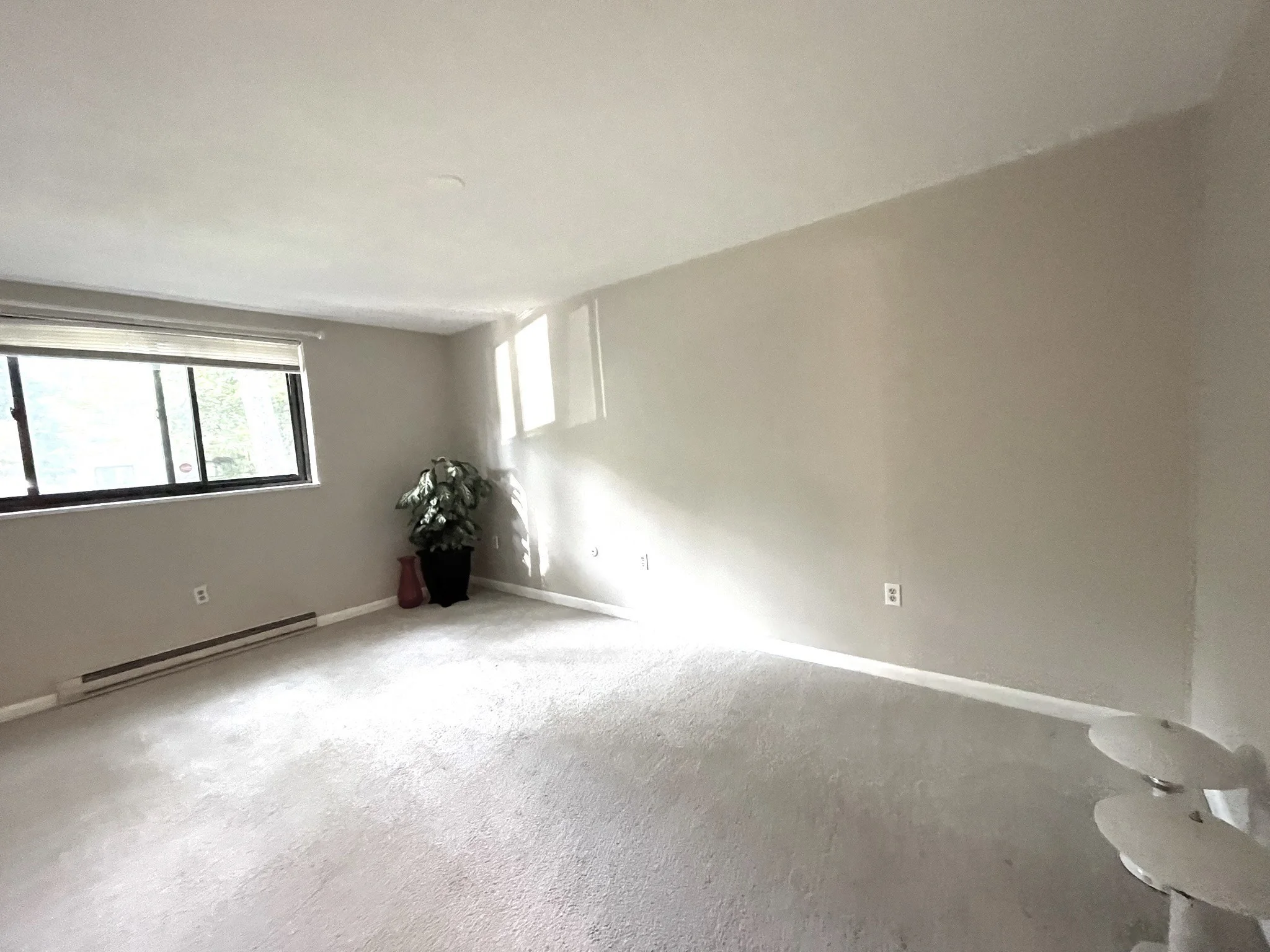 1 bed, 1 bath apartment for rent at 1323 Worcester Rd Unit E7, Framingham — photo 7 of 25