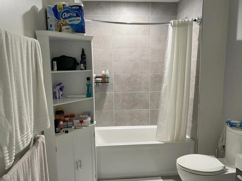 1 bed, 1 bath apartment for rent at 133-135 Hyde Park Ave Unit 133C, Jamaica Plain — photo 6 of 10