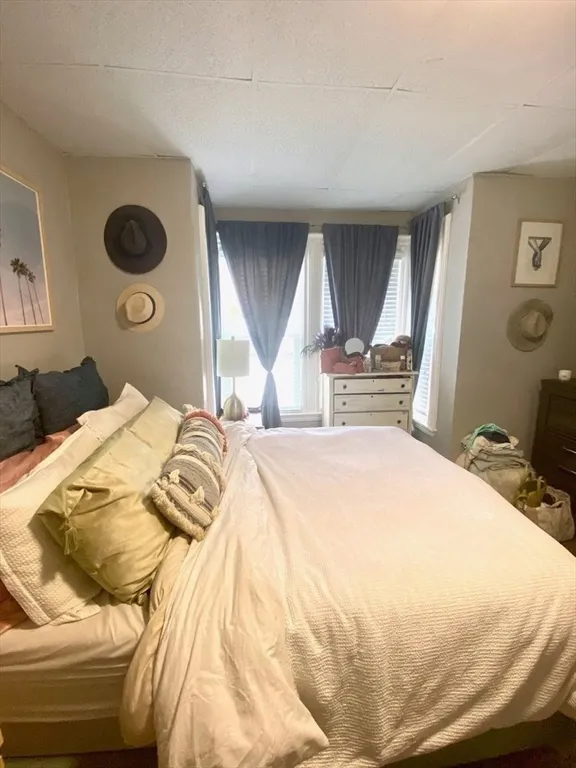 1 bed, 1 bath apartment for rent at 133 Eutaw St Unit 1, Eagle Hill — photo 3 of 6