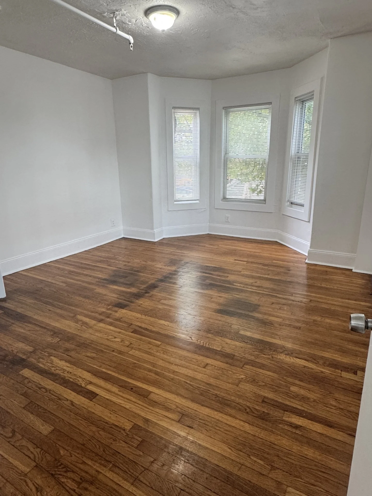 2 bed, 1 bath apartment for rent at 135 Chestnut St Unit 1, Lynn