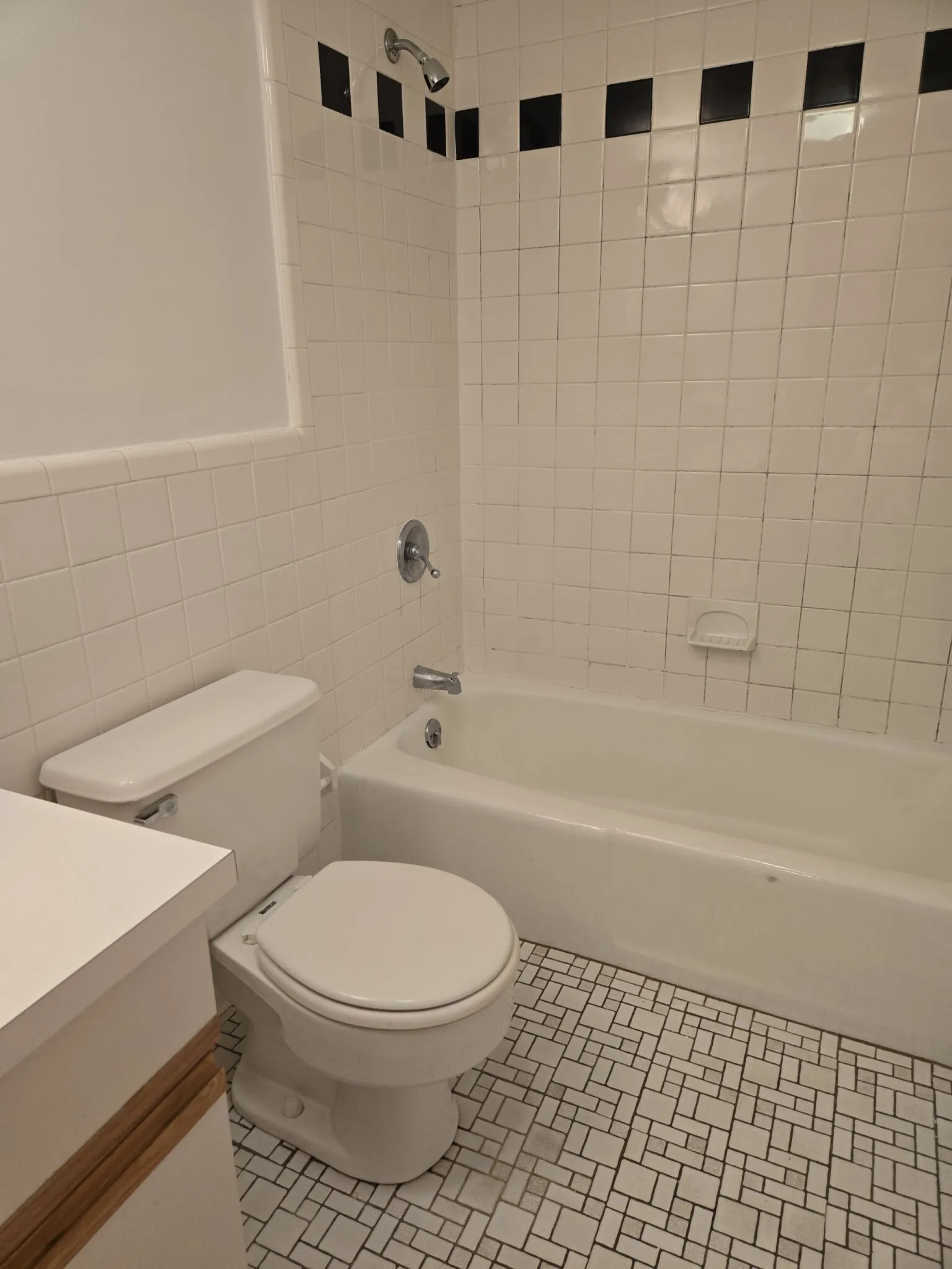 1 bed, 1 bath apartment for rent at 135 Florence St Unit 23, Chestnut Hill — photo 4 of 13