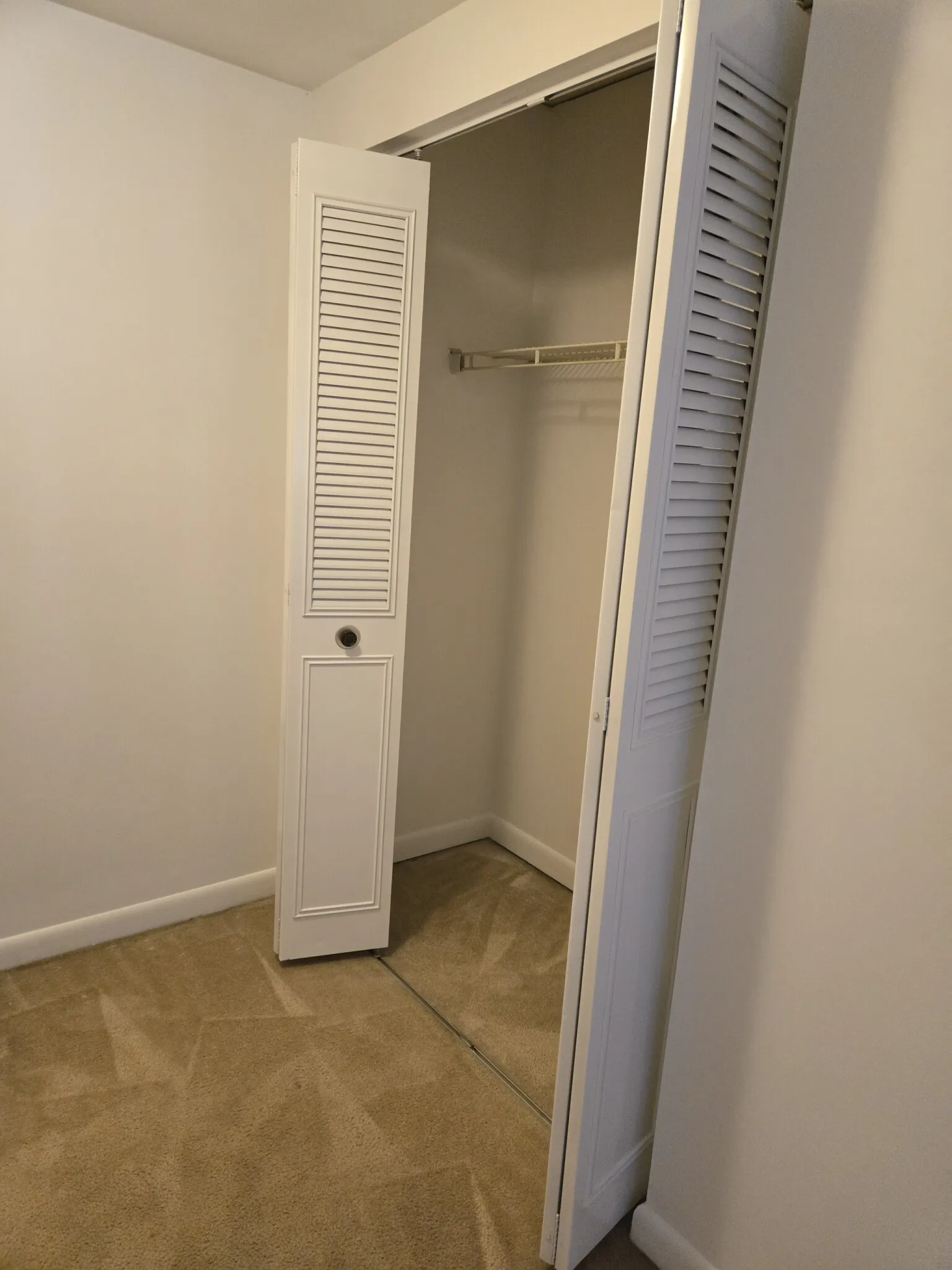 1 bed, 1 bath apartment for rent at 135 Florence St Unit 23, Chestnut Hill — photo 10 of 13