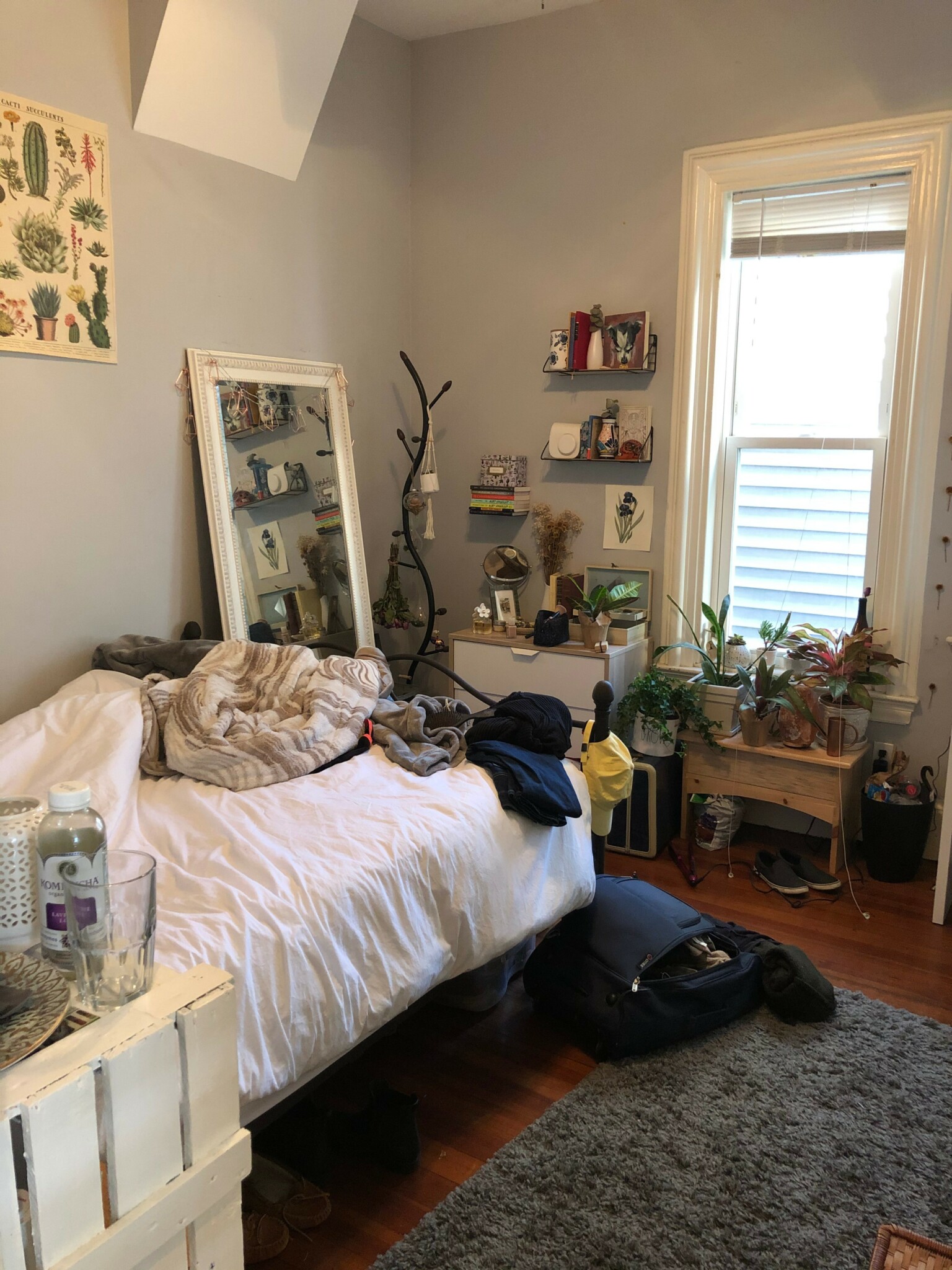 4 bed, 1 bath apartment for rent at 135 Hillside St Unit 4, Mission Hill — photo 5 of 8