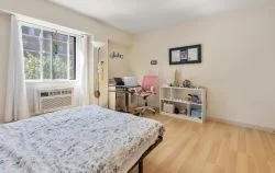 2 bed, 2 bath apartment for rent at 135 Pleasant St Unit 201, Coolidge Corner — photo 12 of 26