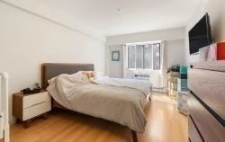2 bed, 2 bath apartment for rent at 135 Pleasant St Unit 201, Coolidge Corner — photo 9 of 26