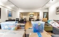 2 bed, 2 bath apartment for rent at 135 Pleasant St Unit 201, Coolidge Corner — photo 6 of 26