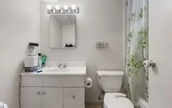 2 bed, 2 bath apartment for rent at 135 Pleasant St Unit 201, Coolidge Corner — photo 14 of 26