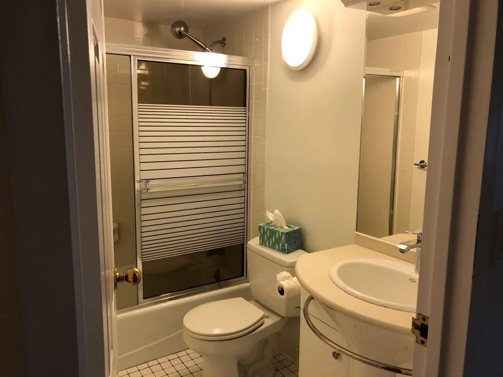 2 bed, 2 bath apartment for rent at 135 Pleasant St Unit 204, Coolidge Corner — photo 7 of 15