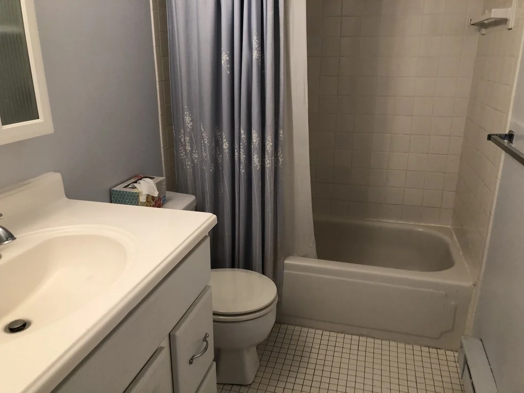 1 bed, 1 bath apartment for rent at 135 Pleasant St Unit 310, Coolidge Corner — photo 6 of 14