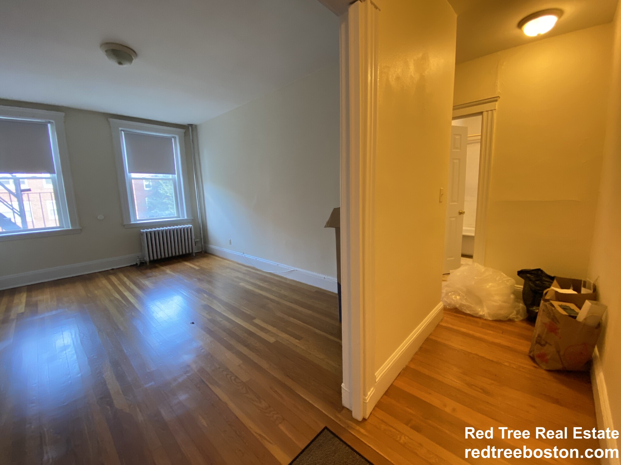 1 bed, 1 bath apartment for rent at 135 Washington St Unit 37, Brighton — photo 4 of 9