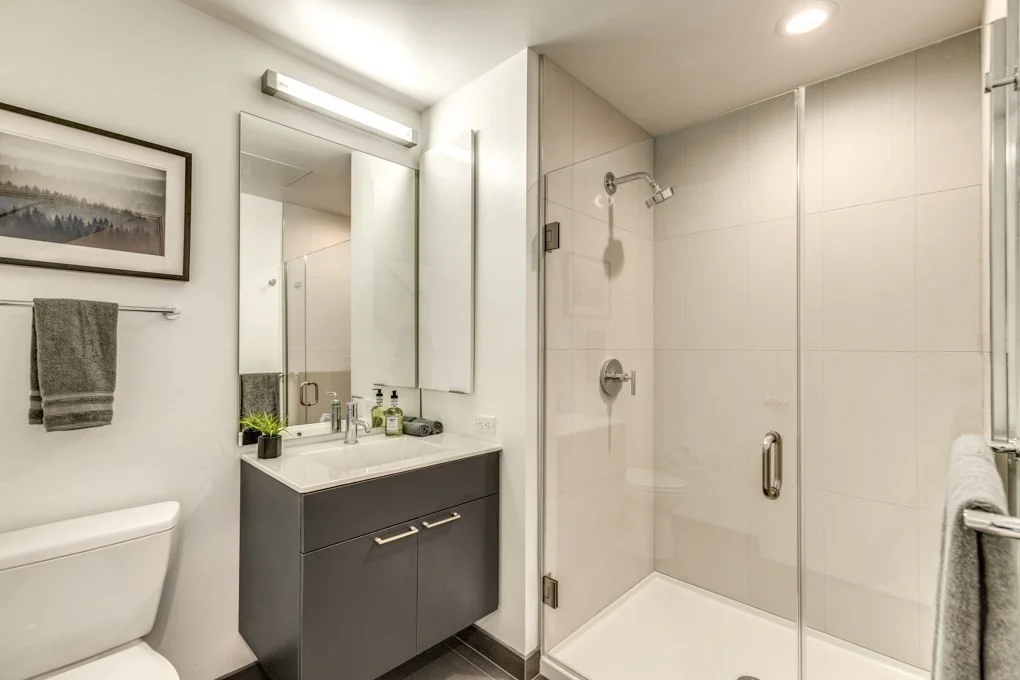 2 bed, 2 bath apartment for rent at 1350 Boylston St Unit L415, Fenway — photo 10 of 16