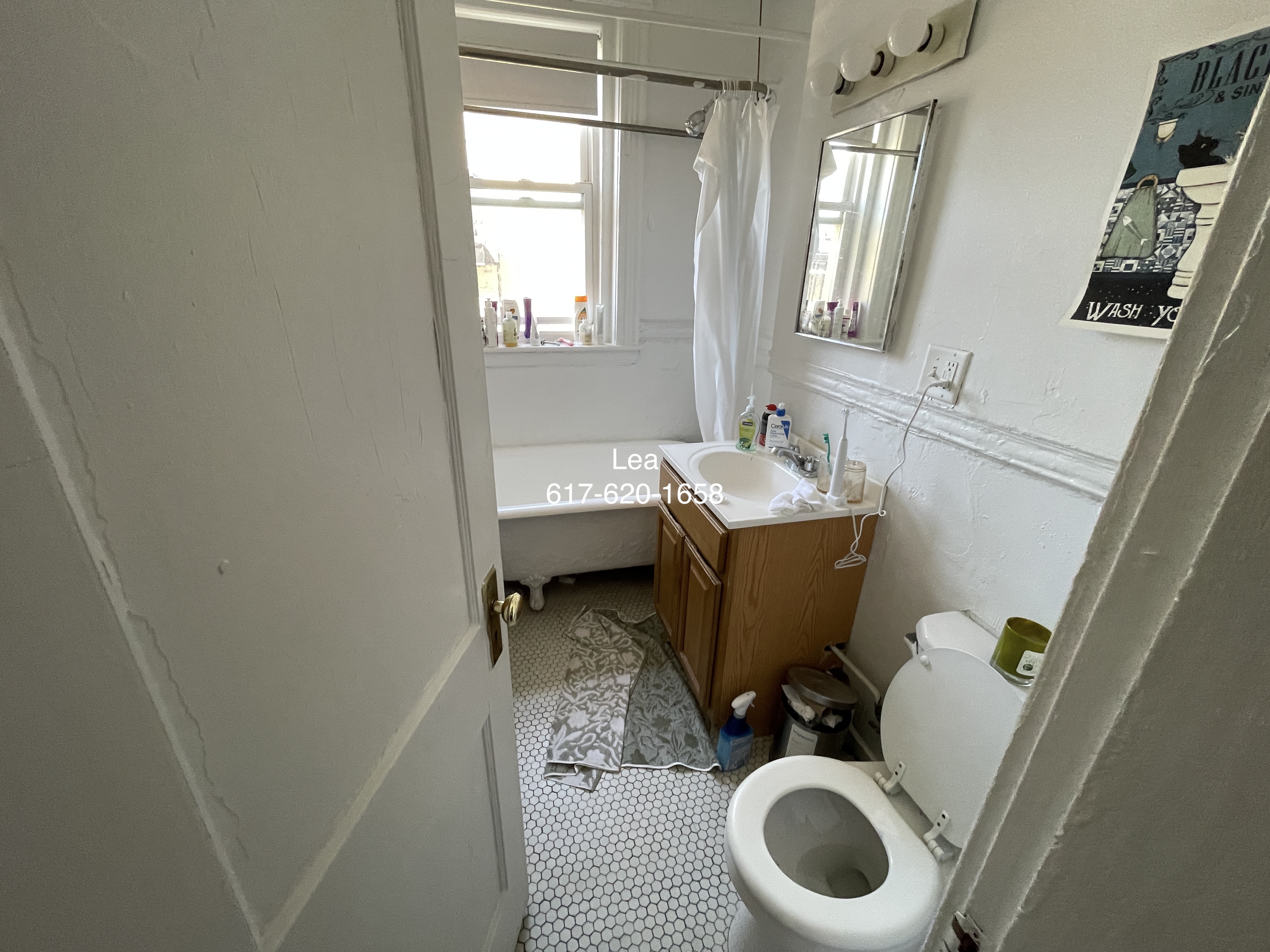 1 split bed, 1 bath apartment for rent at 1350 Commonwealth Ave Unit 14, Allston — photo 5 of 8